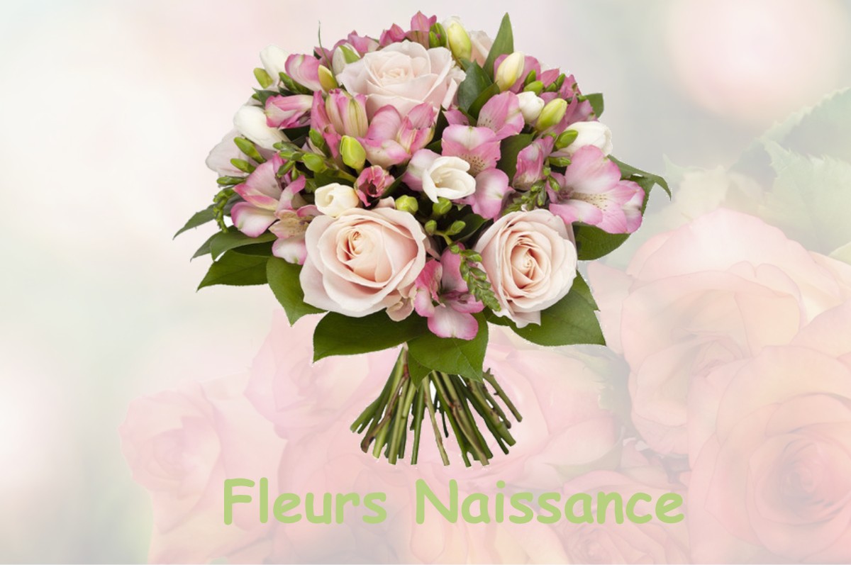 fleurs naissance FONTENAY-MAUVOISIN